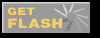 Get Flash